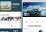 do wordpress website development, design or redesign wordpress business website